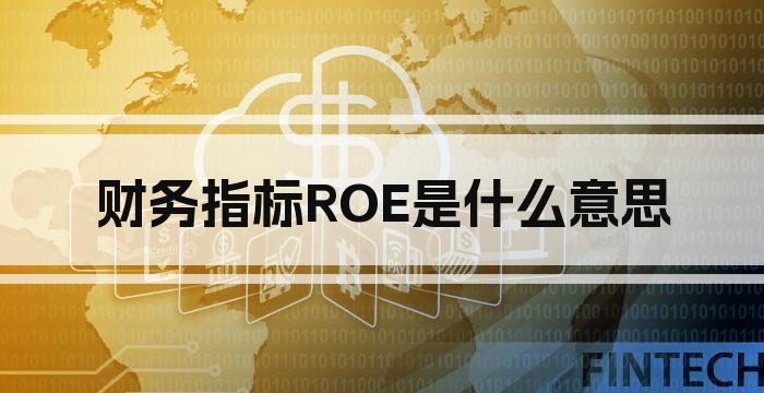 财务指标ROE是什么意思