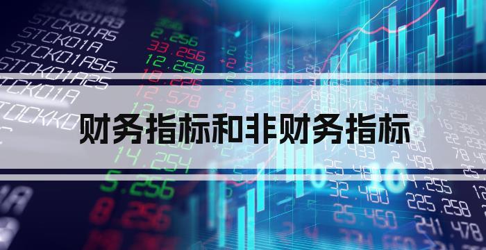 财务指标和非财务指标