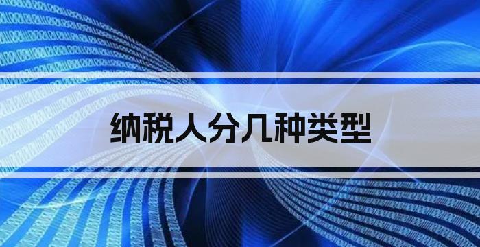 纳税人分几种类型