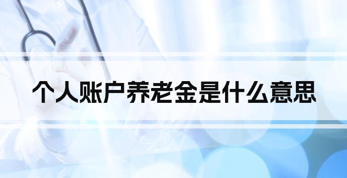 个人账户养老金是什么意思