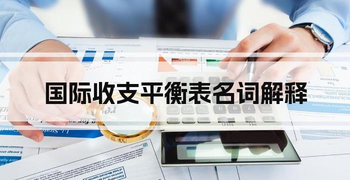 国际收支平衡表名词解释