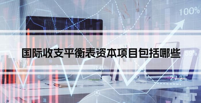国际收支平衡表资本项目包括哪些