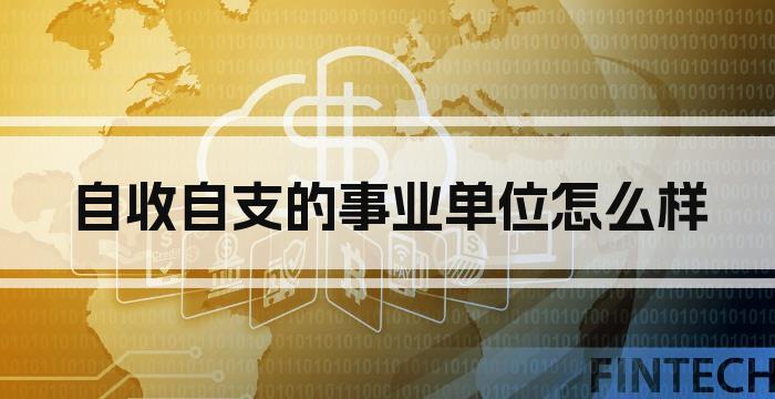 自收自支的事业单位怎么样