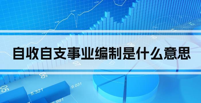 自收自支事业编制是什么意思