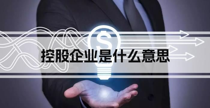 控股企业是什么意思