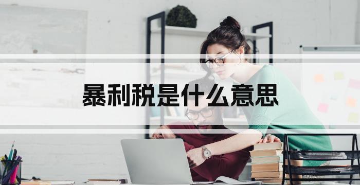 暴利税是什么意思