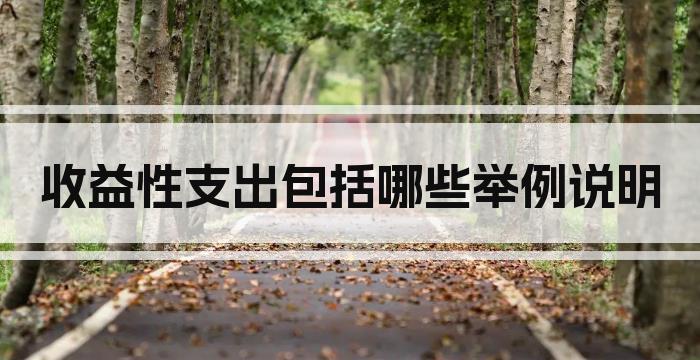 收益性支出包括哪些举例说明