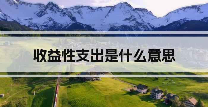 收益性支出是什么意思