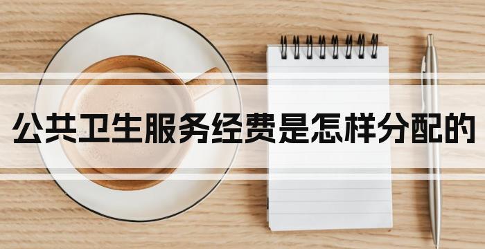 公共卫生服务经费是怎样分配的