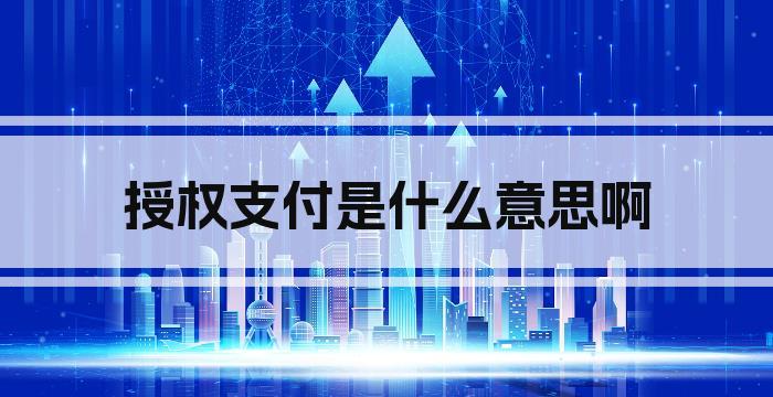 授权支付是什么意思啊