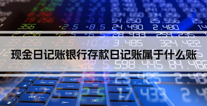 现金日记账银行存款日记账属于什么账