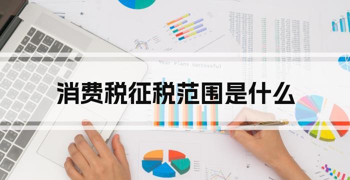消费税征税范围是什么