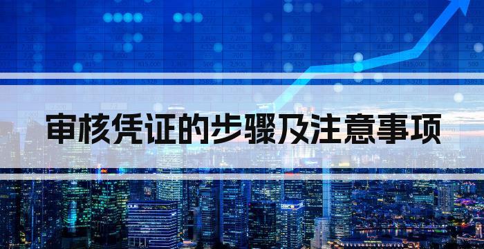 审核凭证的步骤及注意事项