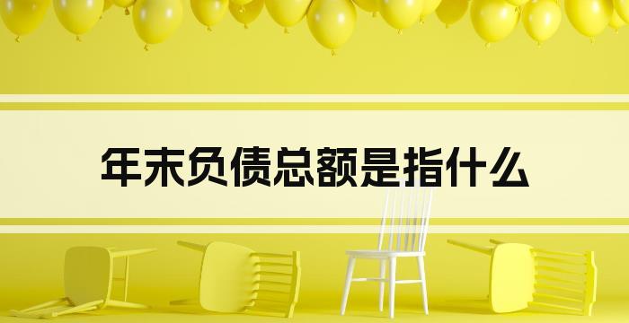 年末负债总额是指什么