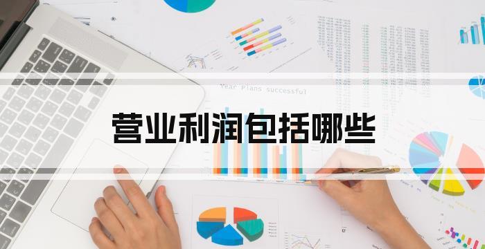 营业利润包括哪些