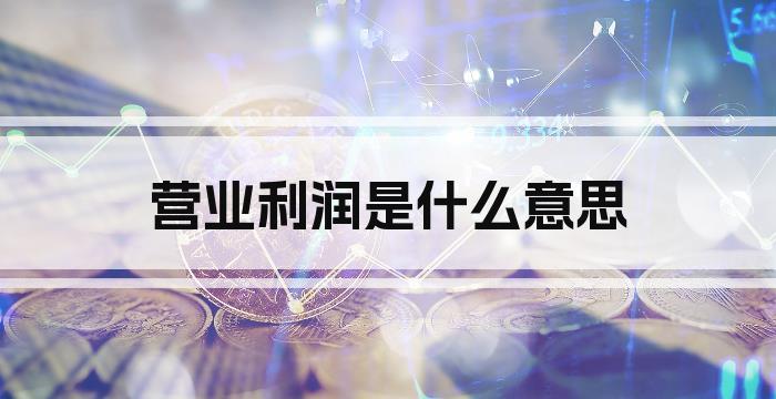 营业利润是什么意思