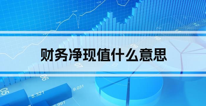 财务净现值什么意思