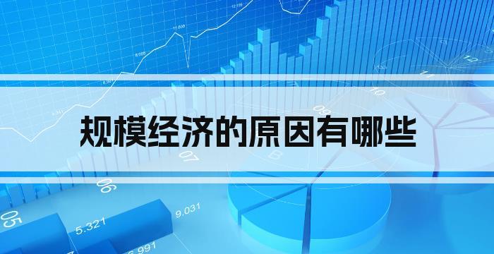 规模经济的原因有哪些
