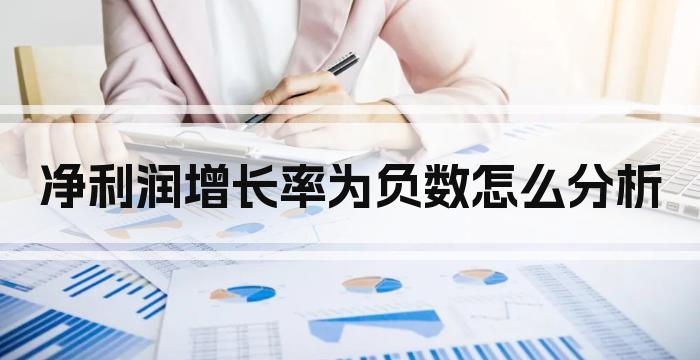 净利润增长率为负数怎么分析