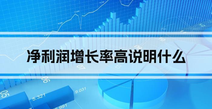 净利润增长率高说明什么