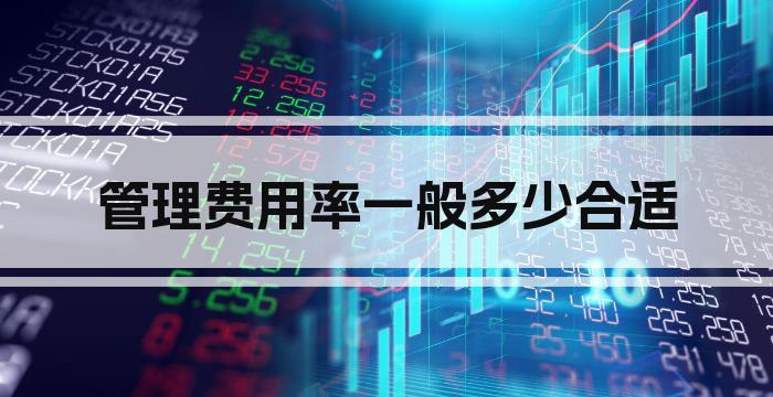 管理费用率一般多少合适