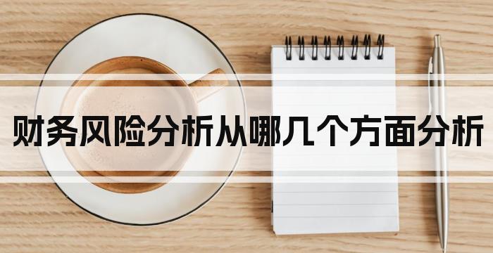 财务风险分析从哪几个方面分析
