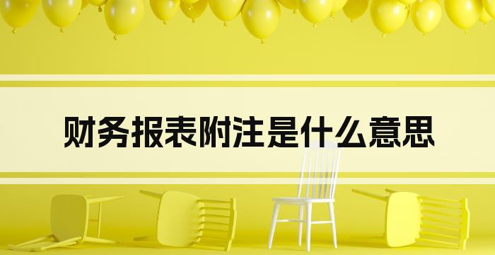 财务报表附注是什么意思