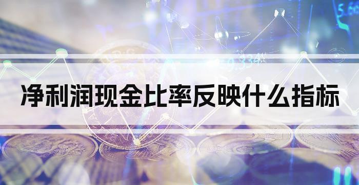 净利润现金比率反映什么指标