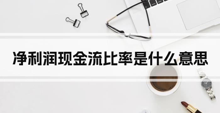 净利润现金流比率是什么意思