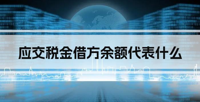 应交税金借方余额代表什么