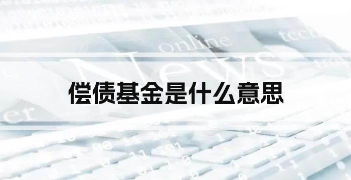 偿债基金是什么意思