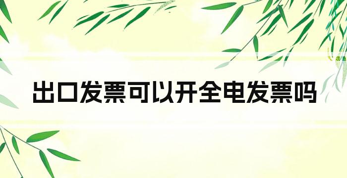 出口发票可以开全电发票吗