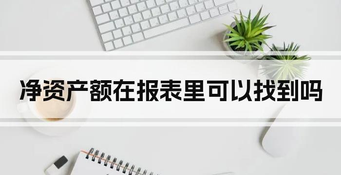 净资产额在报表里可以找到吗
