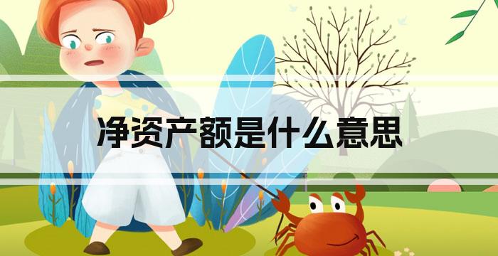 净资产额是什么意思