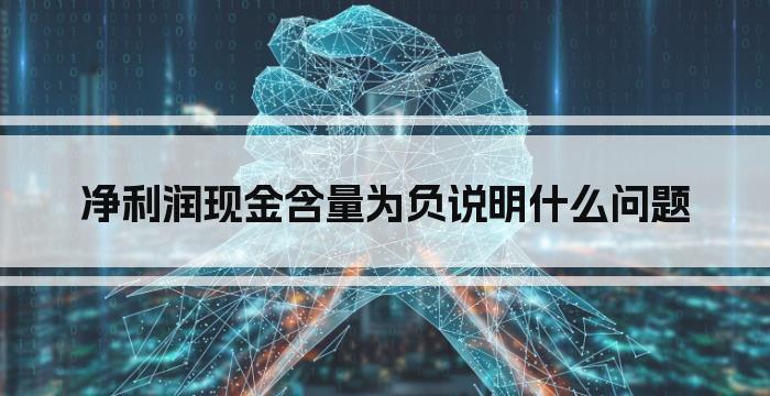 净利润现金含量为负说明什么问题