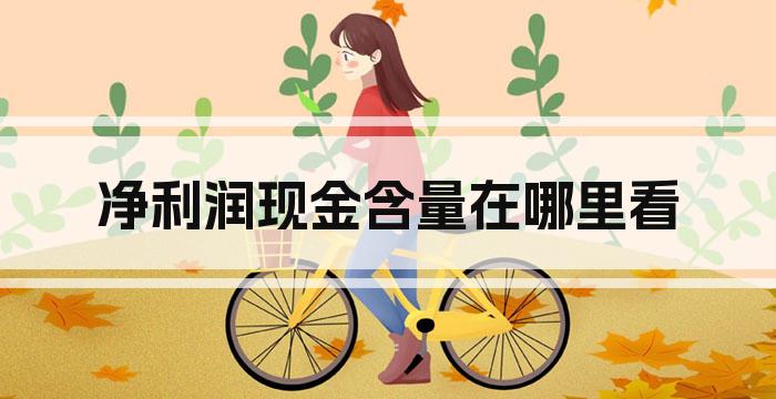 净利润现金含量在哪里看