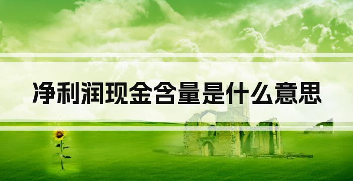 净利润现金含量是什么意思