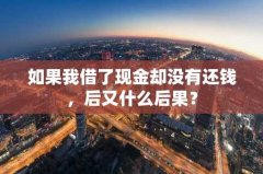 如果我借了现金却没有还