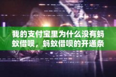 我的支付宝里为什么没有