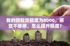 我的微粒贷额度为8000，感