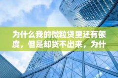 为什么我的微粒贷里还有