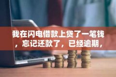 我在闪电借款上贷了一笔