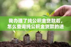 我办理了纯公积金贷款后