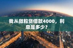 我从微粒贷借款4000，利息