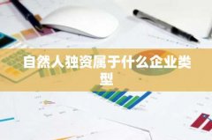 自然人独资属于什么企业
