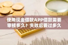 使用现金借款APP借款需要