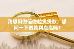 我想用微信微粒贷贷款，