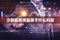 少数股东损益属于什么科