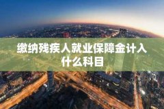 缴纳残疾人就业保障金计