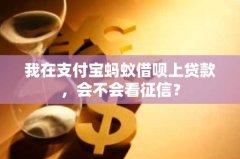 我在支付宝蚂蚁借呗上贷